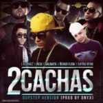 J Alvarez Ft. Ñejo y Dalmata Ñengo Flow y Chyno Nyno - 2 Cachas MP3
